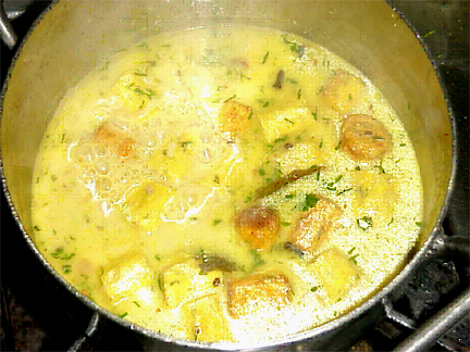 Gatta Curry Gatta Curry picture